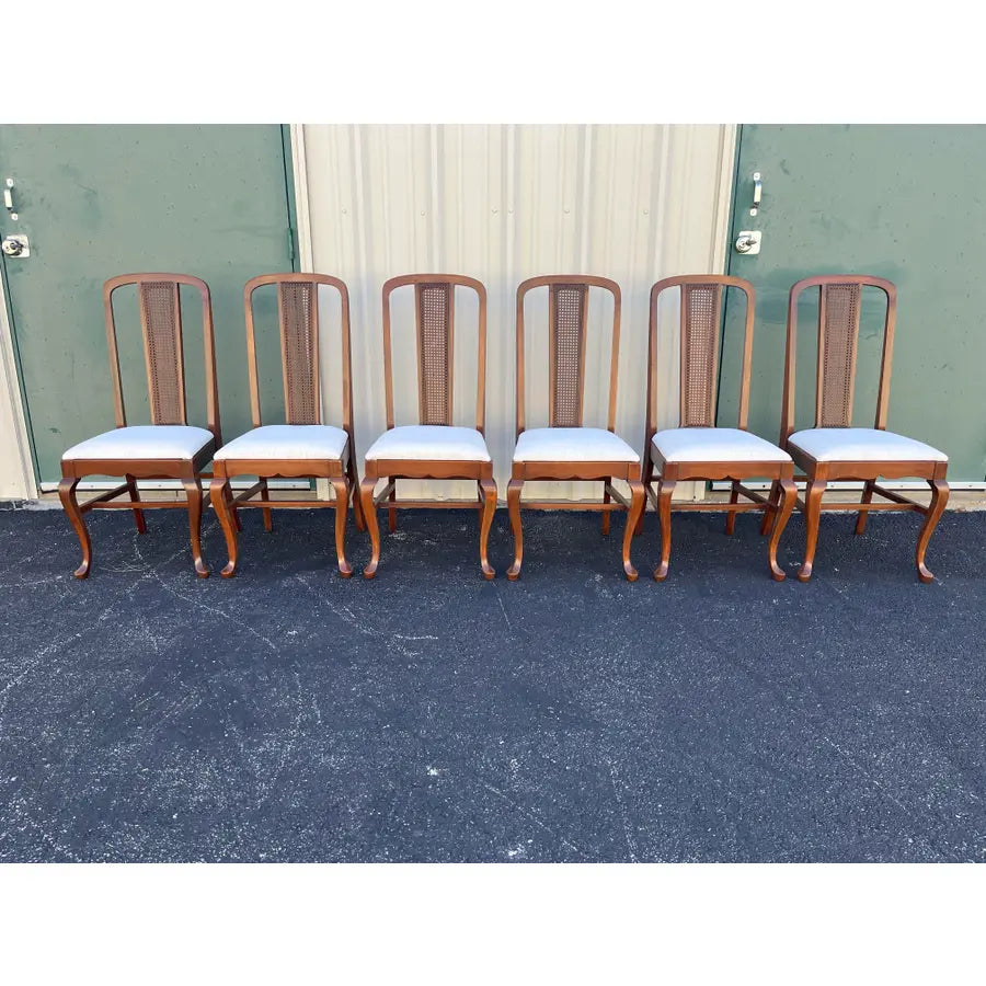 Early 1900s Walnut Cane Back Dining Chairs- Set of 6- Newly Reupholstered