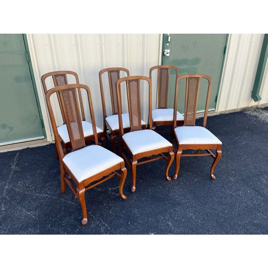 Early 1900s Walnut Cane Back Dining Chairs- Set of 6- Newly Reupholstered