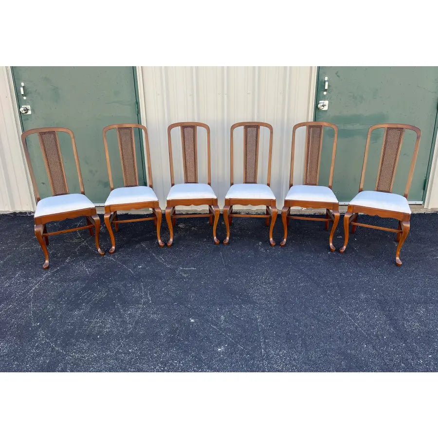 Early 1900s Walnut Cane Back Dining Chairs- Set of 6- Newly Reupholstered