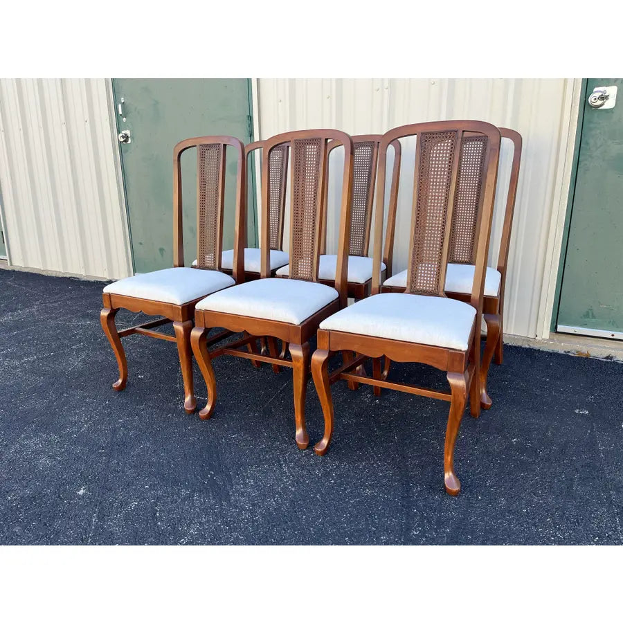 Early 1900s Walnut Cane Back Dining Chairs- Set of 6- Newly Reupholstered